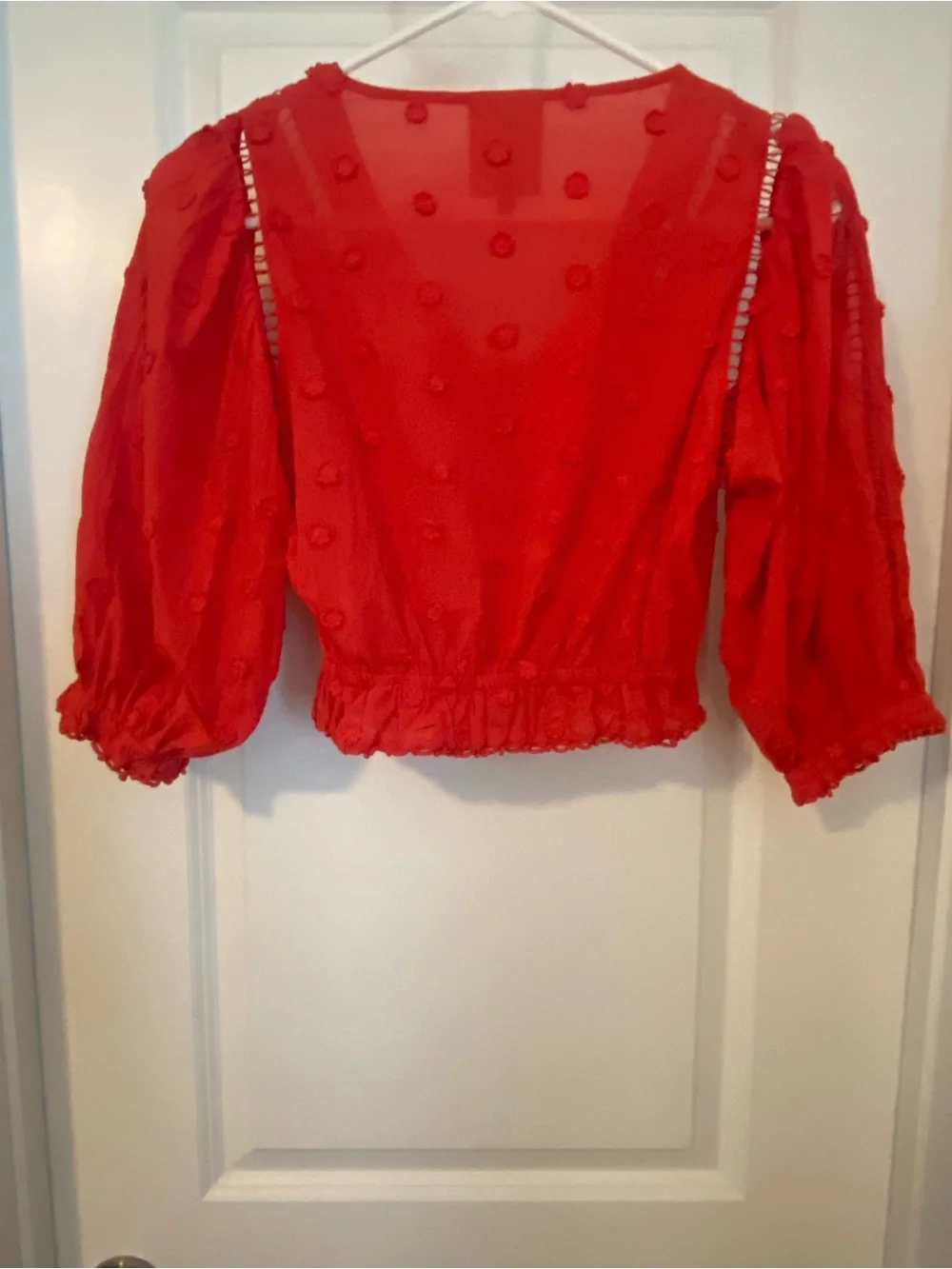 FARM Rio Vibrant Red Embroidered Puff-Sleeve Blouse